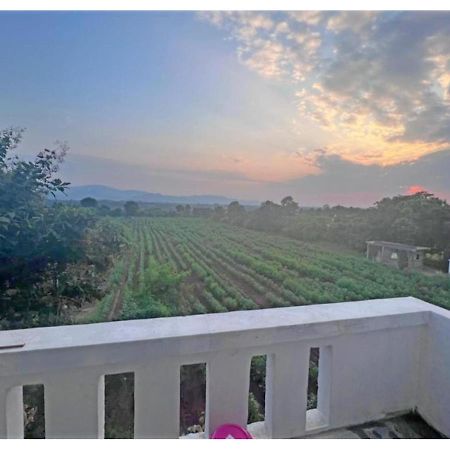 Hari Homestay, Garudeshwar Exterior photo